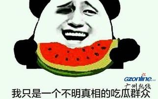 吃瓜网友是什么意思,网络时代的旁观者与评论家