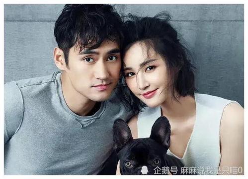 娱乐圈吃瓜大秘籍